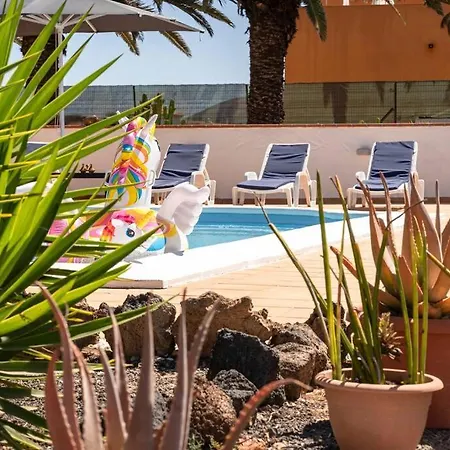 别墅 Sosha Splendida Rustica Con Piscina E Giardino 拉·奥利瓦