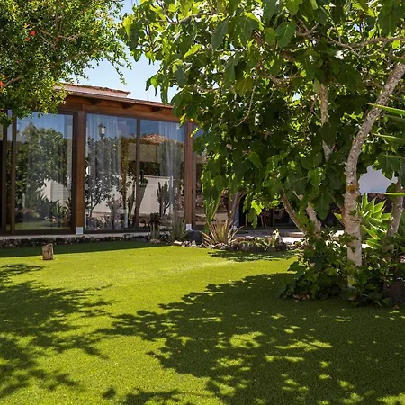 Sosha Splendida Rustica Con Piscina E Giardino 别墅 *